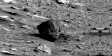 Martian Skull Found?