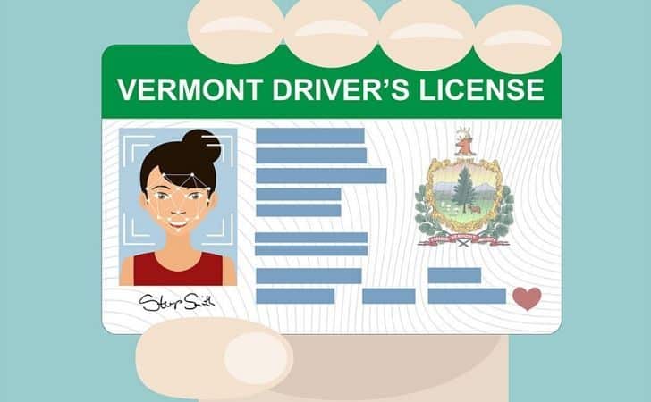 Cartoon image of a US driver's license