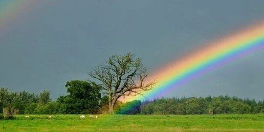 Facts About Rainbows