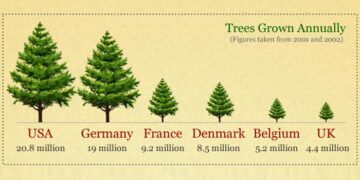 Christmas Tree Facts