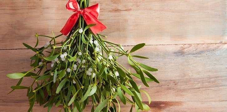 Mistletoe Decoration