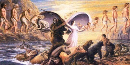 The Belief In Reincarnation