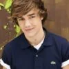 Liam Payne Facts