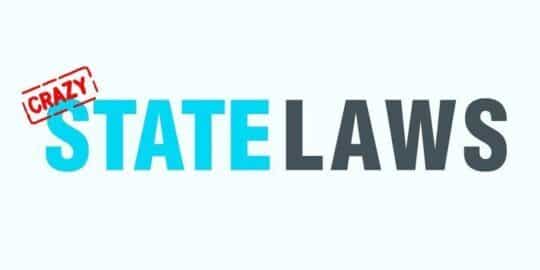11 Crazy State Laws InfoGraphic
