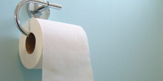 5 Fun Facts About Toilet Paper