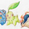 Johto Region Starter Pokemon