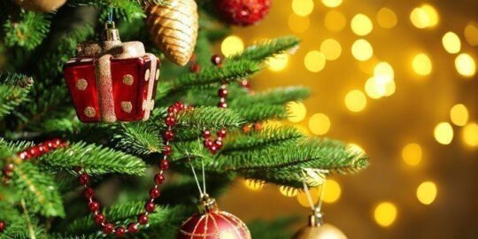 10 Highly Unusual Facts About Christmas