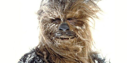 19 Cheerful Facts About Chewbacca