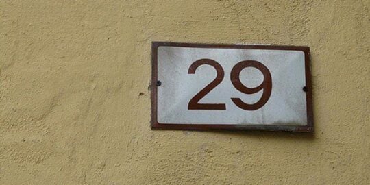 Twenty-Nine Facts About the Number 29