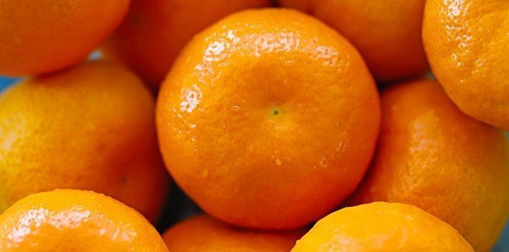 Satsuma