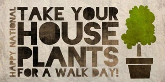 Take Your Houseplants for a Walk Day | July 27