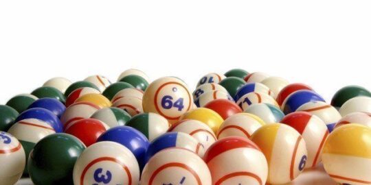 Fun Bingo Facts and Titbits