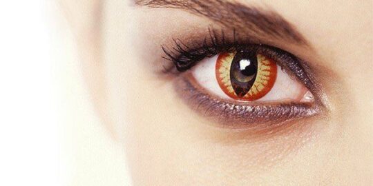 Fun Facts About Contact Lenses