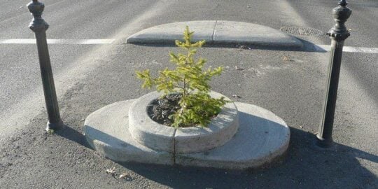 Mill Ends Park | The Smallest Park in the World