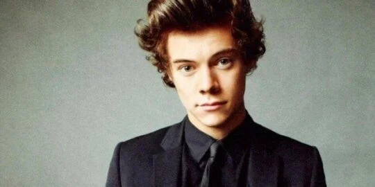 Harry Styles Hair Facts