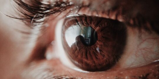 A Few Brief Facts About Blinking