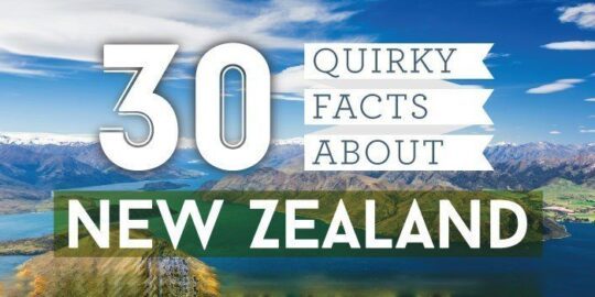 30 Quirky Facts About New Zealand InfoGraphic