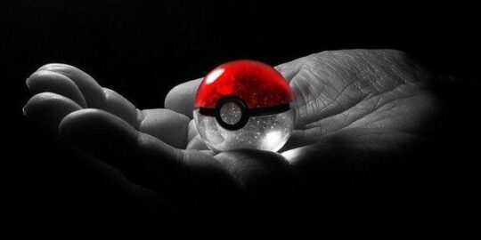 Where Do Poké Balls Come From?