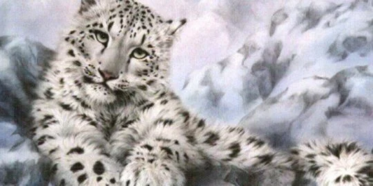 Cool Facts About Snow Leopards