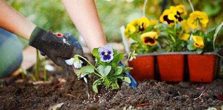 Plant A Flower Day