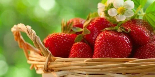 7 Scrumptious Facts About Strawberries