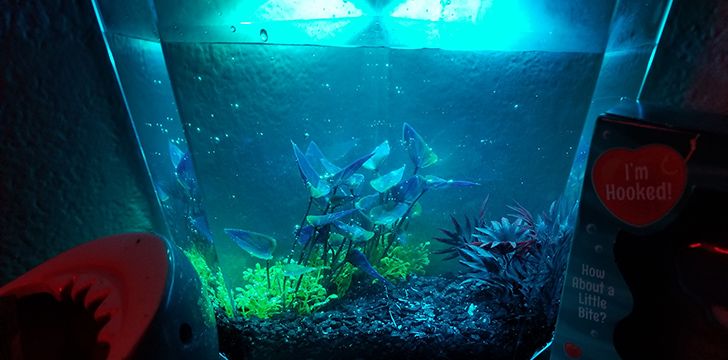 16th May – Sea Monkey Day.