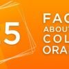 25 Facts About the Color Orange