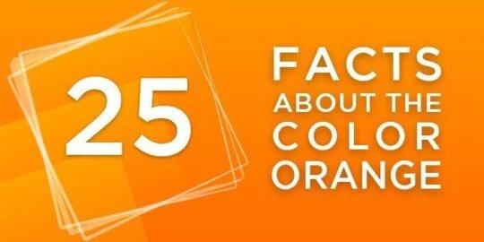 25 Facts About The Color Orange