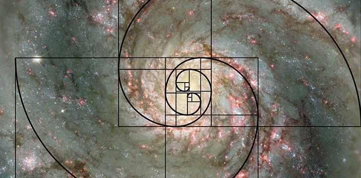 23rd November - Fibonacci Day.