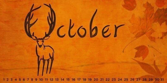 October | Special Days of the Year