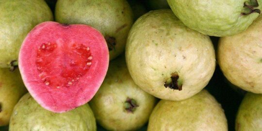 15 Fruity Facts About Guavas