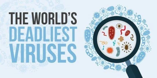 The World’s Deadliest Viruses Infographic