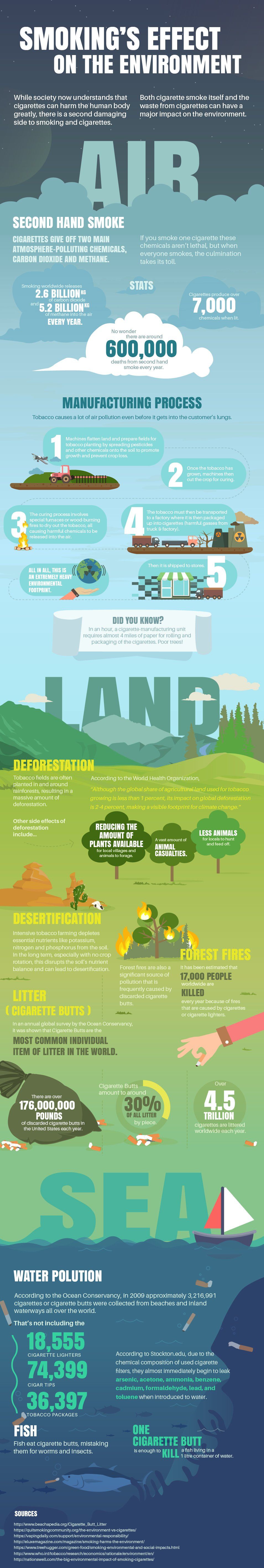 Smoking's Effect On The Environment Infographic