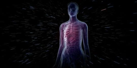 100 Facts About the Human Body