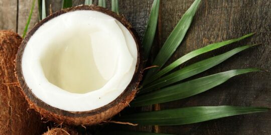24 Captivating Facts About Coconuts
