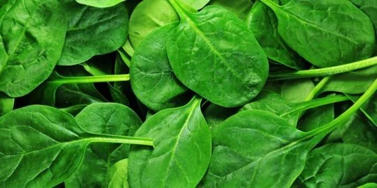 30 Splendid Facts About Spinach