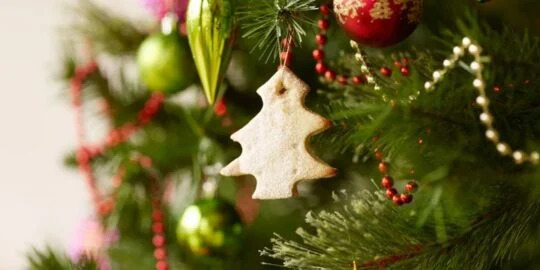 The Most Expensive Christmas Trees