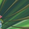30 Awesome Facts About Venusaur