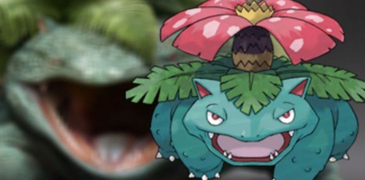 Venusaur’s English name means “Venus fly trap lizard”.