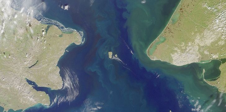 Russia is so close to Alaska you can swim to it.