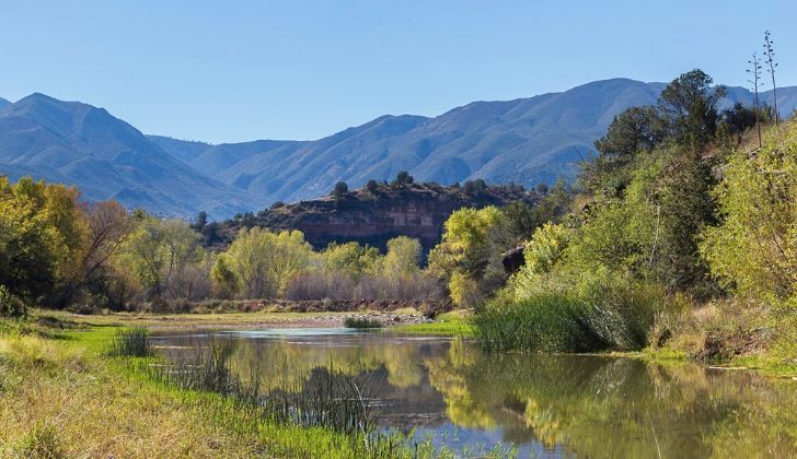 27% of Arizona is covered in forest land