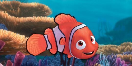 5 Nifty Facts About Nemo
