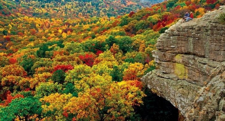 Forest tree tops in Arkansas