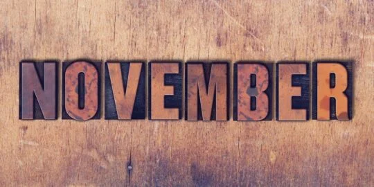 20 Noteworthy Facts About November