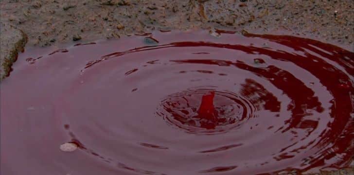 A blood puddle