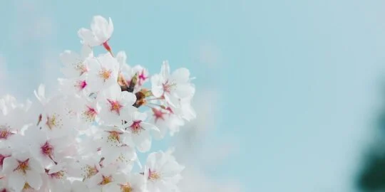 April 10: Facts & Historical Events On This Day