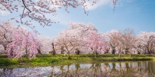 April 11: Facts & Historical Events On This Day