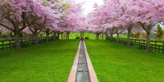 April 13: Facts & Historical Events On This Day