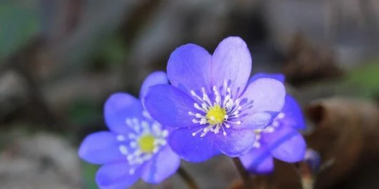 April 14: Facts & Historical Events On This Day