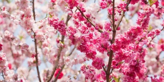 April 15: Facts & Historical Events On This Day